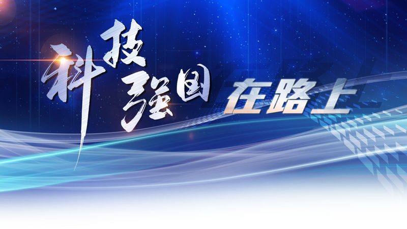 数据湖与数据仓库：揭秘两者之间的本质区别